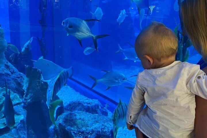 Dubai Aquarium Underwater Zoo with Penguin Cove Entry Tickets