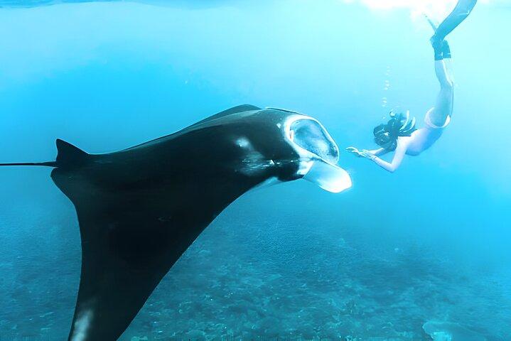 From Bali: Nusa Penida Snorkeling and Island Tour