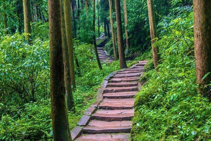 Private Dujiangyan & Mount Qingcheng Day Tour
