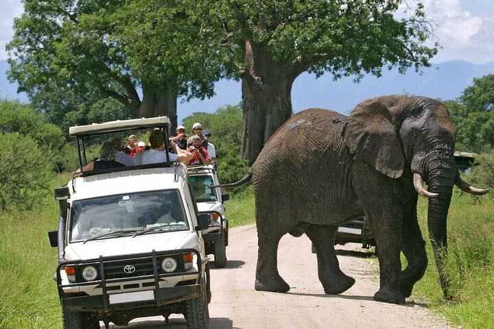 5 Days Across Southern Kenya
