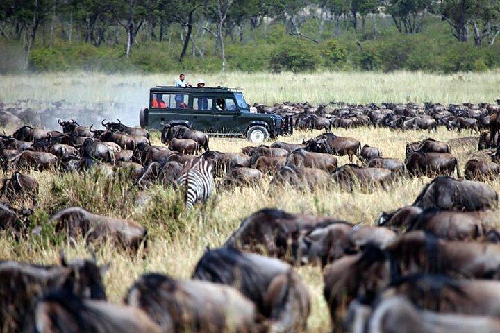 9 Days Tour on Kenya Wildlife Safari via 4x4 Land Cruiser Jeep