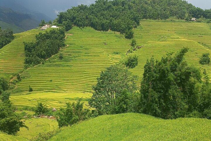 Sapa Trekking / Hiking through Sapa Valley with native Hmong