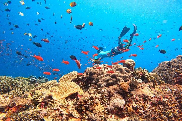 Lembongan Snorkeling Swim With Manta Rays and Island Tour