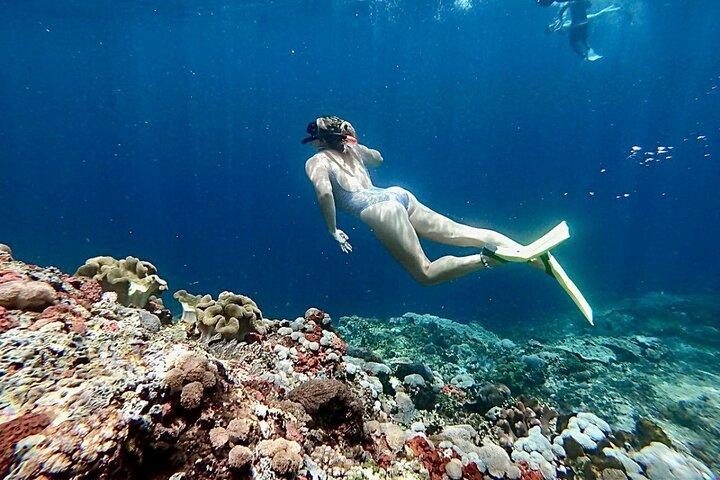 Swim with Manta Rays: Snorkeling Day Trip from Bali