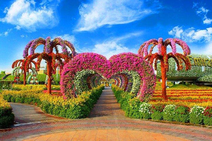 Dubai Miracle Garden Skip the Line Tickets