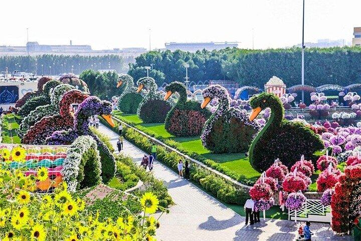 Dubai Miracle Garden Skip the Line Tickets
