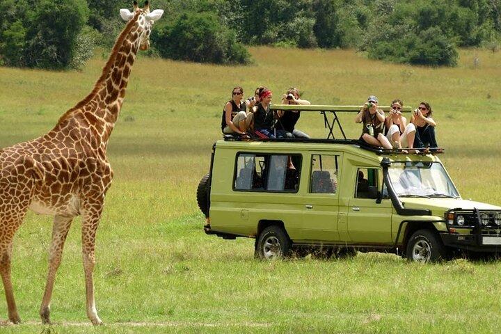 3 Day Maasai Mara Joining Safari at Sopa Lodge from Nairobi