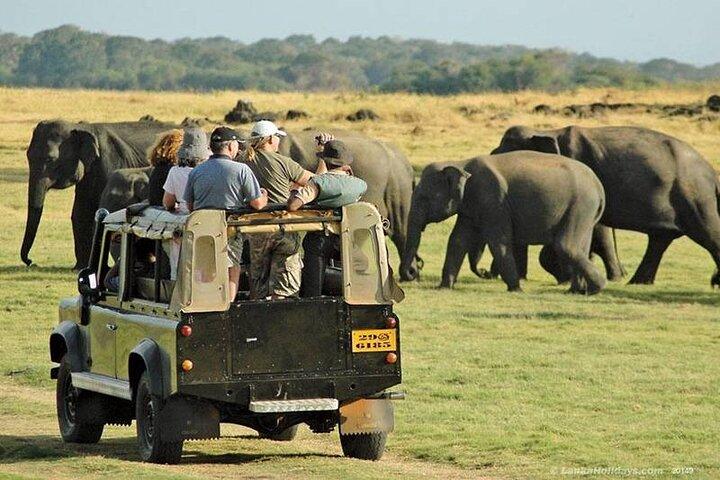 10 Days Discover Kenya Wildlife Safari on a 4x4 Land Cruiser Jeep