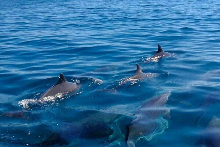 Mauritius: 5 island all inclusive with Ile aux cerfs/snorkeling