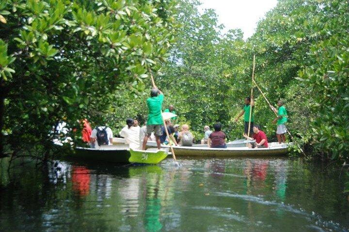 Mangrove Tour at Nusa Lembongan : Kayak, Paddle and Boat