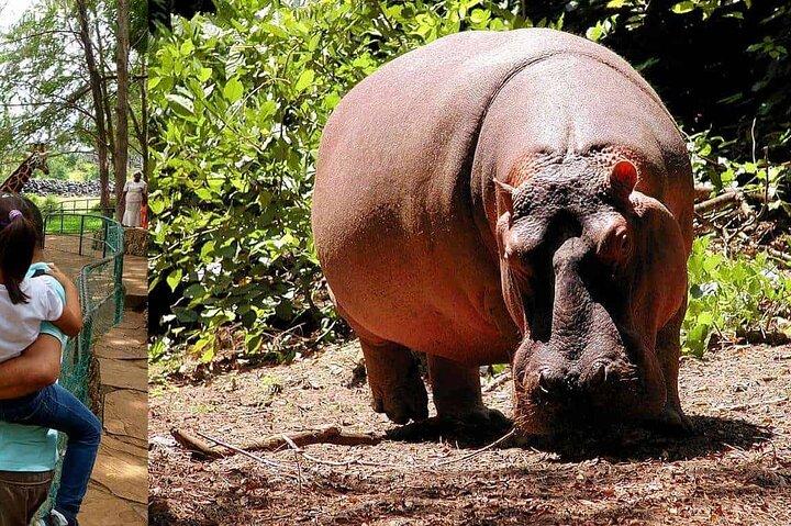 Mombasa Getaway with Haller Park Tours