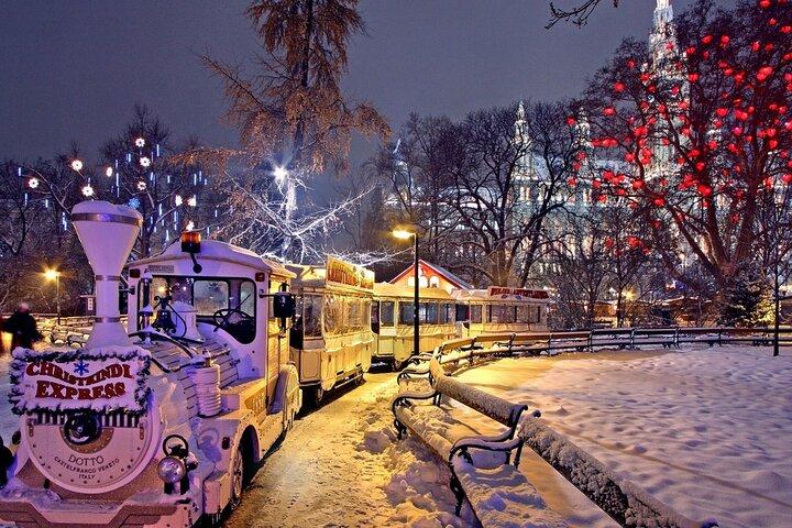 Vienna Private Full Day Tour with Tickets