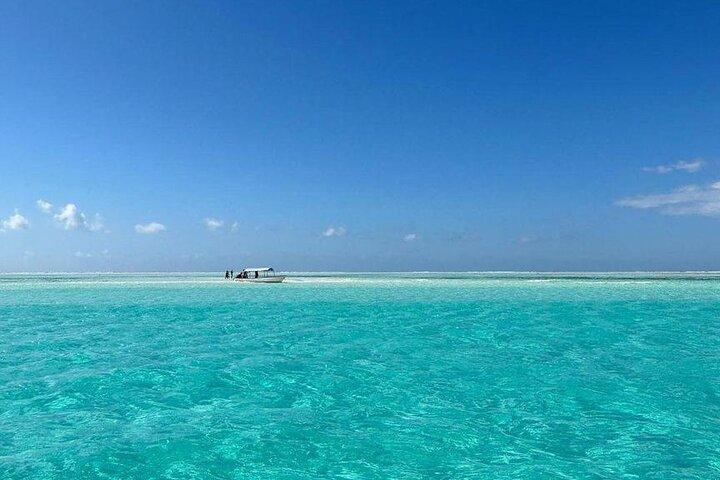 Zanzibar Mnemba Atoll Seafood BBQ Lunch and Sea Turtles Aquarium