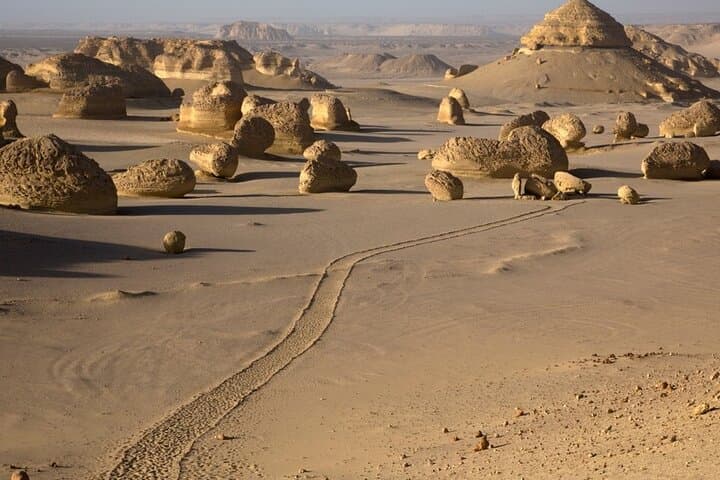 Day Tour in Whales Valley and Wadi El Rayan Water Falls