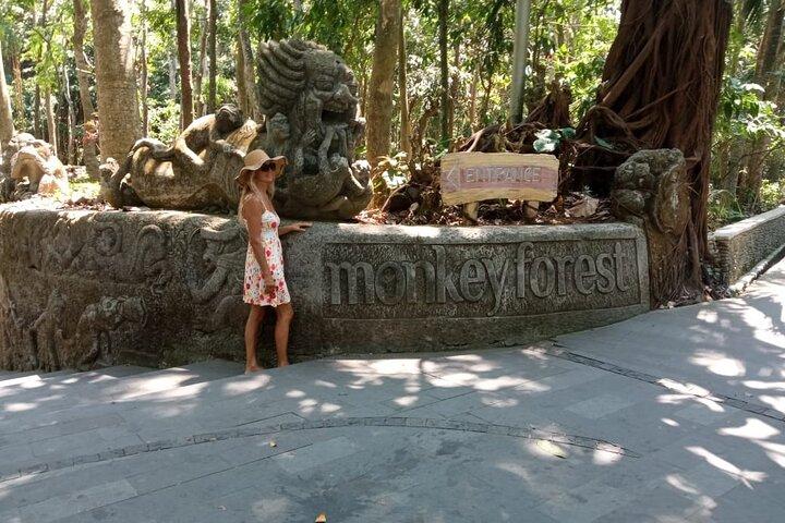 Ubud Hot Springs and Waterfall Private Guided Tour