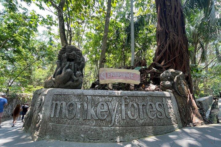 Ubud Monkey Forest Rice Terrace Temple Waterfall Private Tour