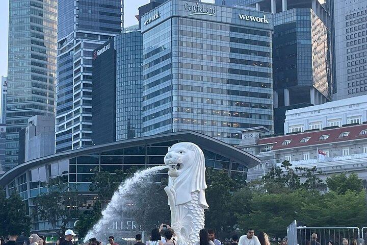 Singapore Half Day City Tour w Skypark and Gardens By The Bay