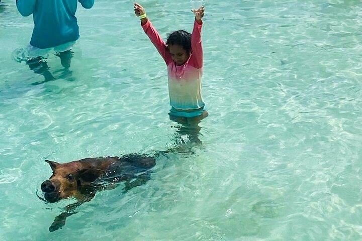 Luxury Catamaran Cruise: Sip, Sail, Snorkel, and Swim with Pigs!