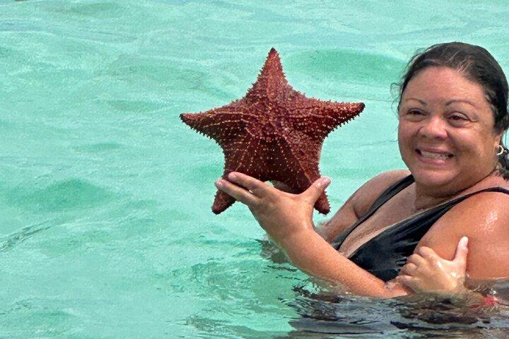 Luxury Catamaran Cruise: Sip, Sail, Snorkel, and Swim with Pigs!