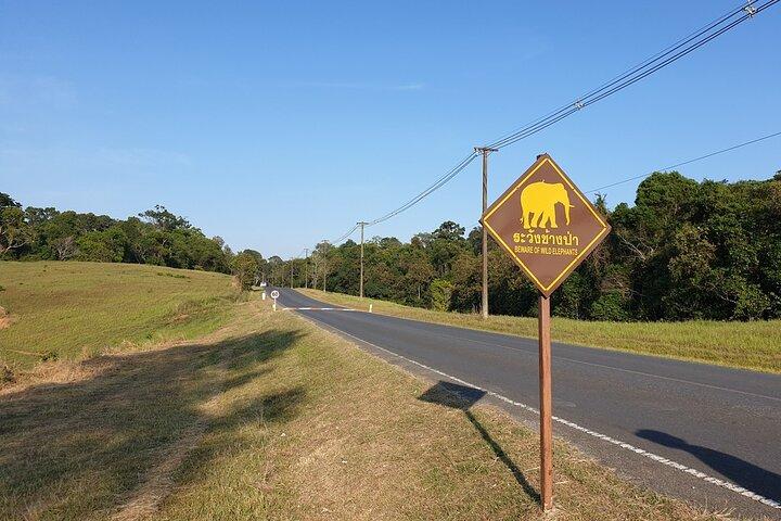 10 Hours Private Hiking in Khao Yai National Park From Bangkok