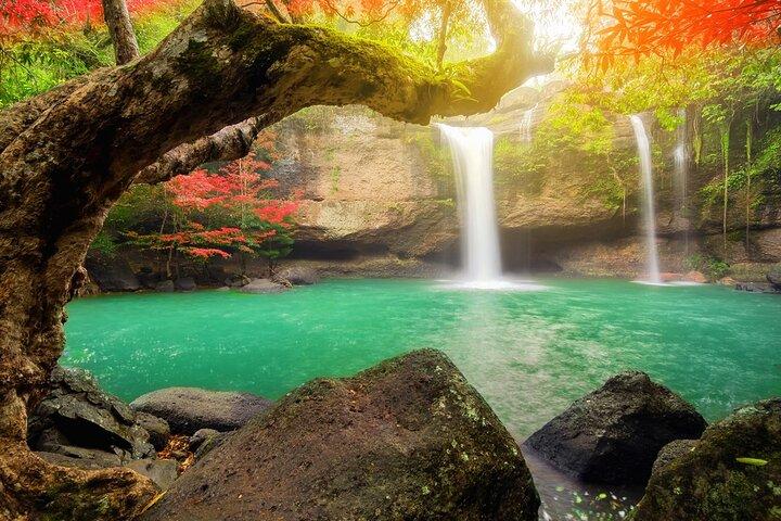 10 Hours Private Hiking in Khao Yai National Park From Bangkok