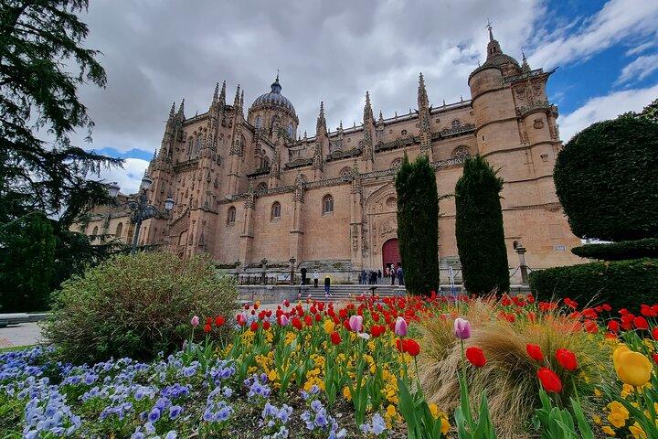 Full Day Private Tour: Salamanca, Avila & Segovia From Madrid