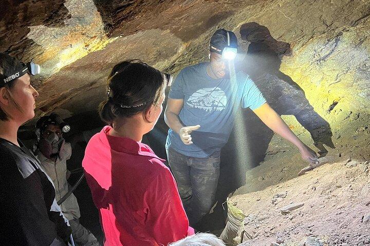 Tanzanite Mining Day Trip