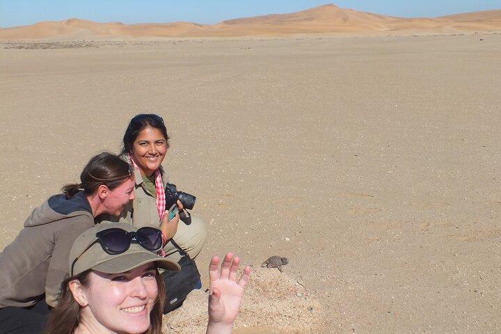 LIVING DESERT TOUR (Little 5 tour)