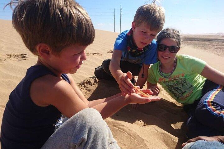 LIVING DESERT TOUR (Little 5 tour)