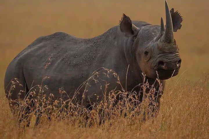 10 Days Private Safari Tour in Tanzania