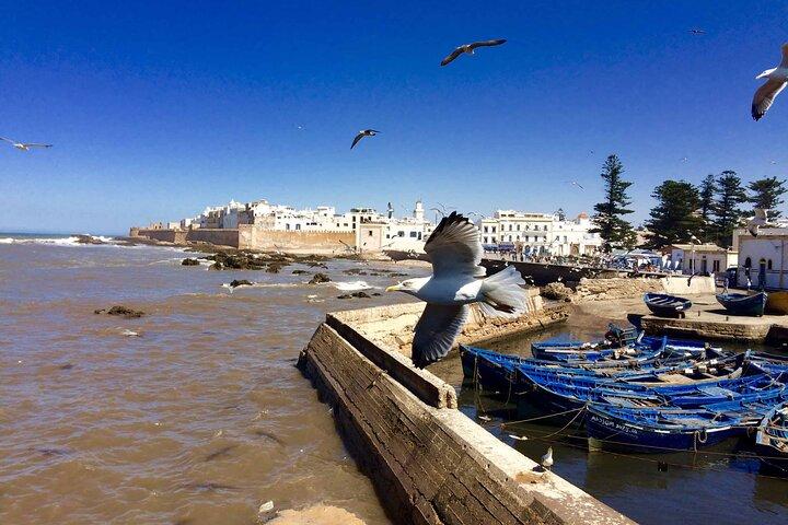 Essaouira Day trip from Marrakech with Transfers