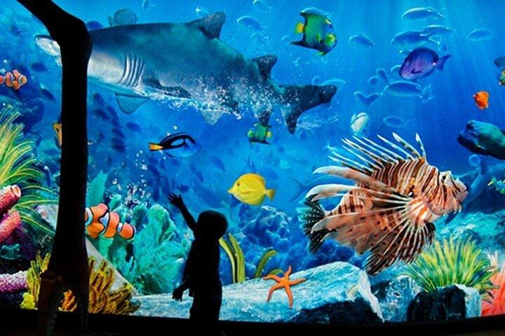 SEA LIFE Bangkok Ocean World Standard Admission Ticket