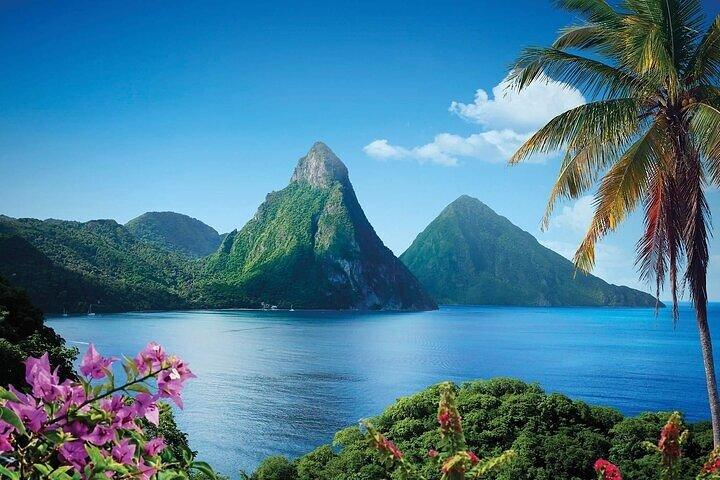 St. Lucia Zip Line, Aerial Tram and Hiking Adventure
