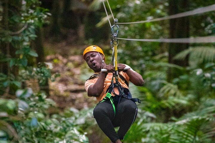 St. Lucia Zip Line, Aerial Tram and Hiking Adventure