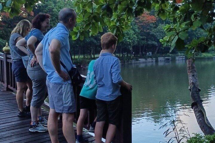 Bamboo Bicycle Tour in twilight: watch dancing Fireflies in Bangkok