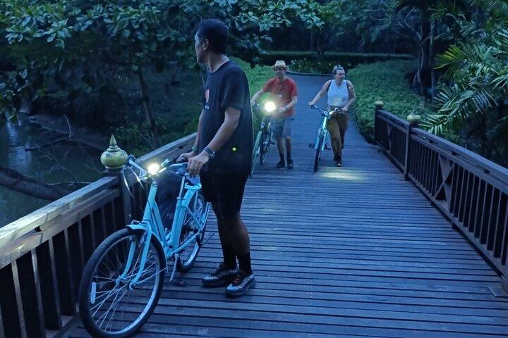 Bamboo Bicycle Tour in twilight: watch dancing Fireflies in Bangkok