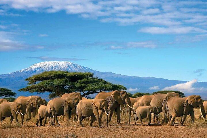 Kilimanjaro day trip starting from Arusha