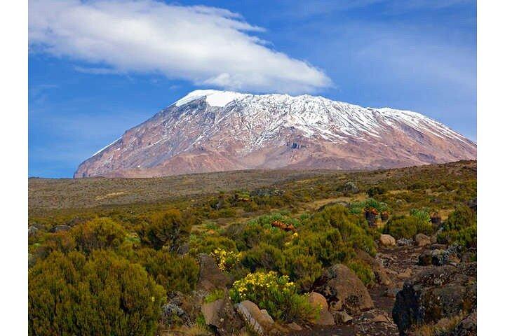Kilimanjaro day trip starting from Arusha