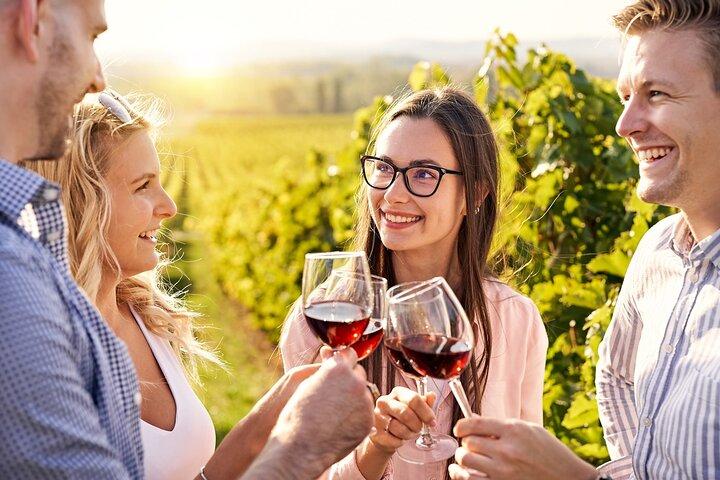 Full-Day Private Lake Balaton Wine Tour Experience from Budapest