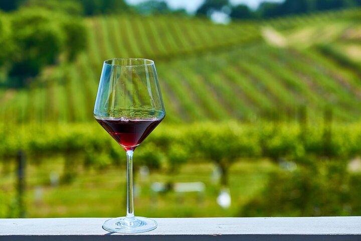 Full-Day Private Lake Balaton Wine Tour Experience from Budapest