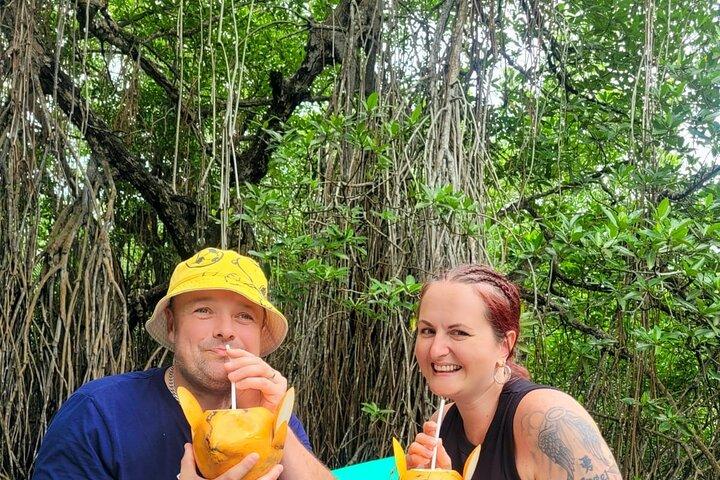 Bentota Village Tour with River Safari & Tea Plantation/Factory - All Inclusive