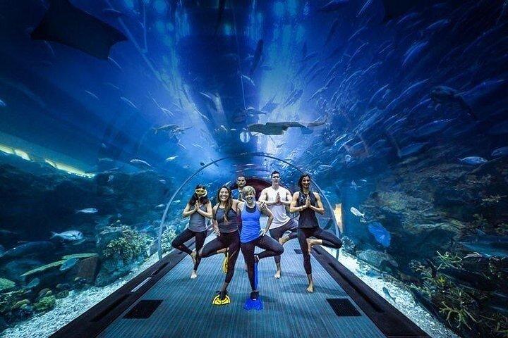 Dubai Aquarium underater zoo penguin cove with optional transport