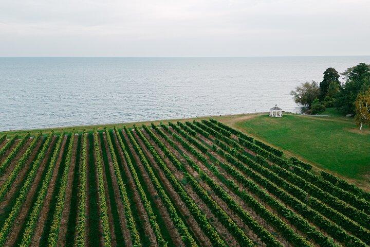 Seated Tasting Experience at Konzelmann Winery