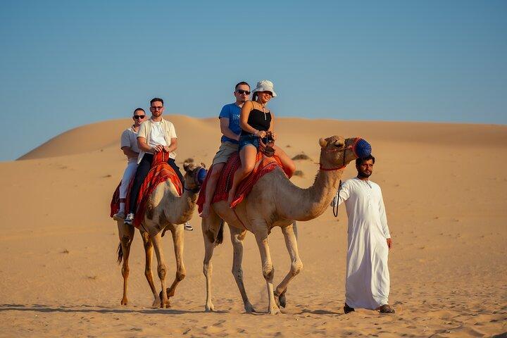 Abu Dhabi Evening Desert Safari - Private car Dune bashing & BBQ