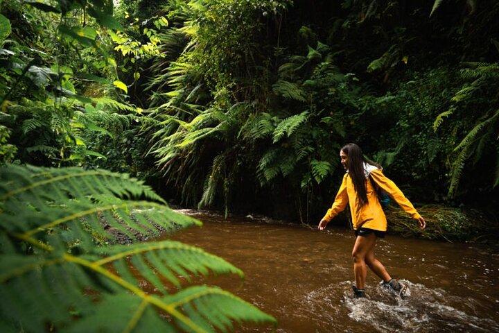 Napuru Waterfalls