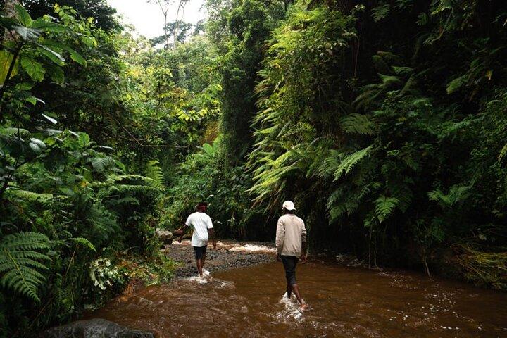 Napuru Waterfalls