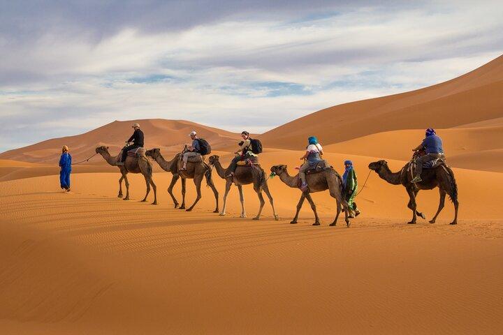 7D Desert Private Tour From Marrakech By Fes And Blue Chefchaouen