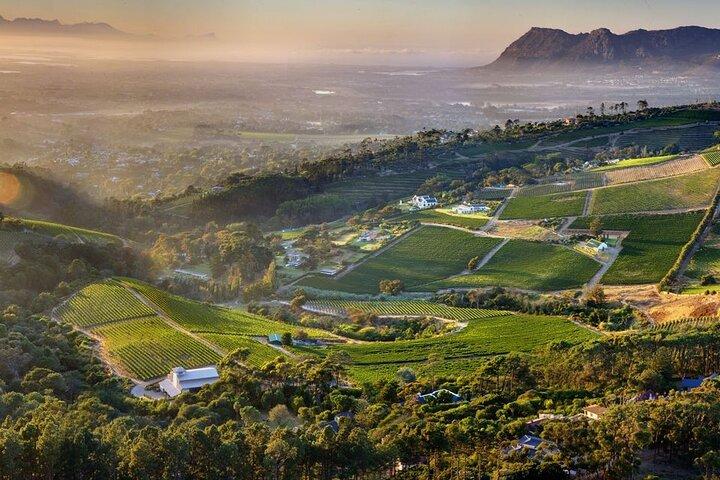Wine Tasting in Constantia Region Cape Town
