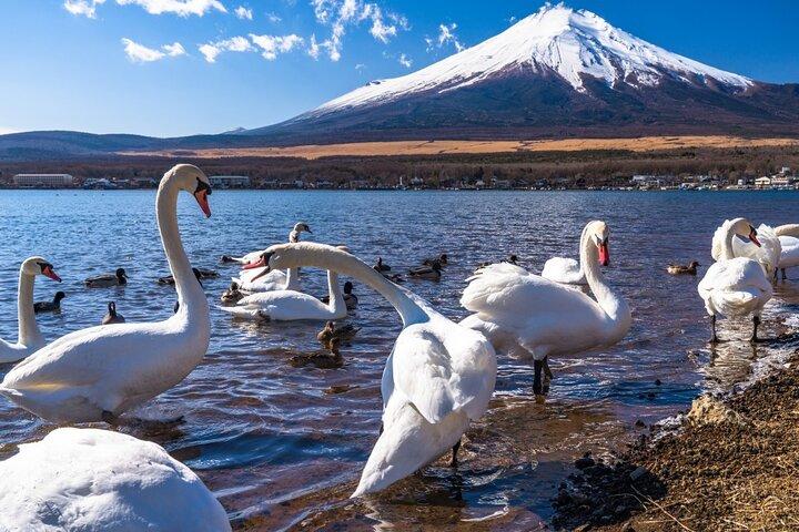 Mount Fuji Day Tour by Chartered Car