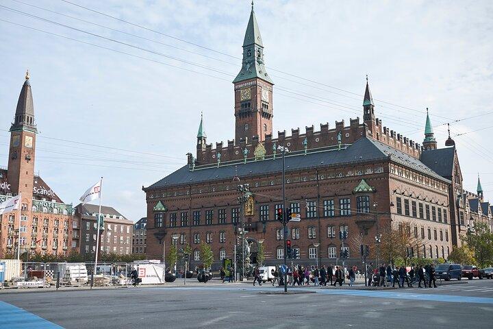 Copenhagen Canal Boat Cruise and City, Nyhavn Walking Tour